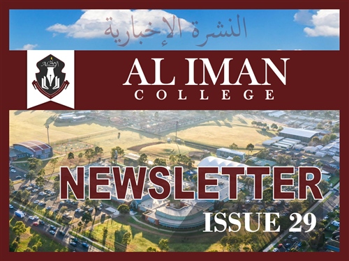 AIC Newsletter Issue 29