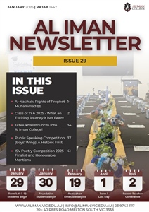 Newsletter Issue 29